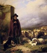 Sheep 176 unknow artist